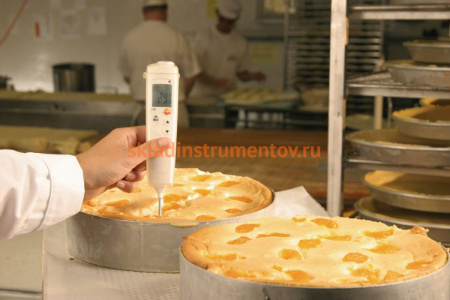 Пищевой компактный термометр Testo 106, с поверкой 0563 1063П