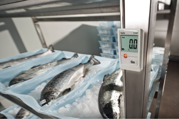 Логгер TESTO 174T с USB 5 720 561