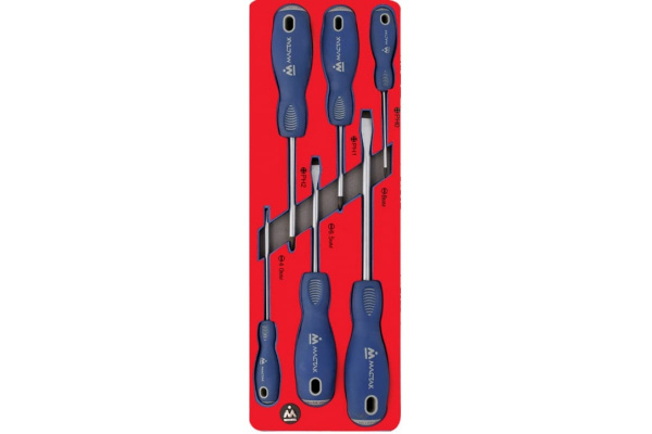 Набор отвёрток (ложемент, 6 предметов) МАСТАК 5-4006
