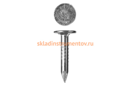 Гвозди оцинкованные с потайной головкой 800 шт. (3.0х20 мм) Зубр 4-305091-30-020