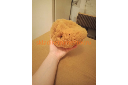 Губка PAVAN натуральная, морская 3120 S0112504