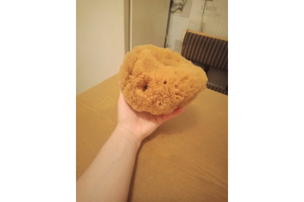 Губка PAVAN натуральная, морская 3120 S0112504