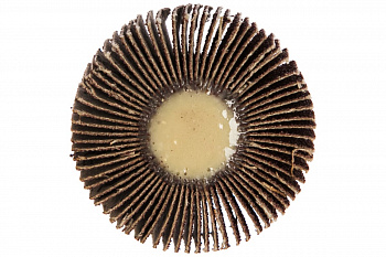 Круг лепестковый с оправкой (50х15мм; P 80) ПРАКТИКА 648-991