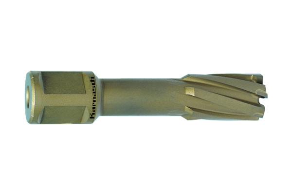 Сверло корончатое (100х55 мм; Weldon 32) Karnasch 20.1316-100