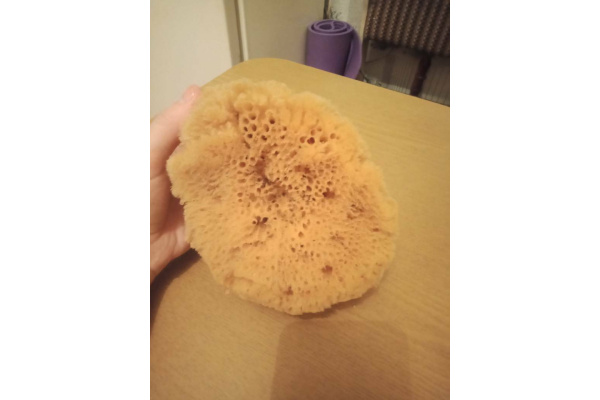 Губка PAVAN натуральная, морская 3120 S0112504