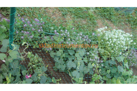 Защитная сетка от птиц 4м х 5м Archimedes 90804