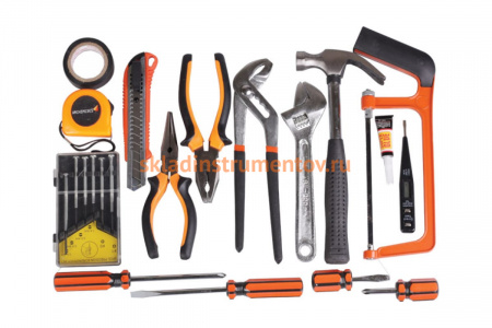 Набор инструмента 21 шт Archimedes Norma 90036