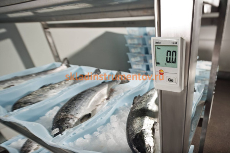 Мини-логгер данных температуры Testo 174 T с поверкой 0572 1560П