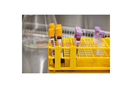 Этикетки THT-53-424-3 BRADY brd30240