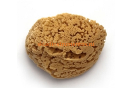 Губка PAVAN натуральная, морская 3120 S0112504