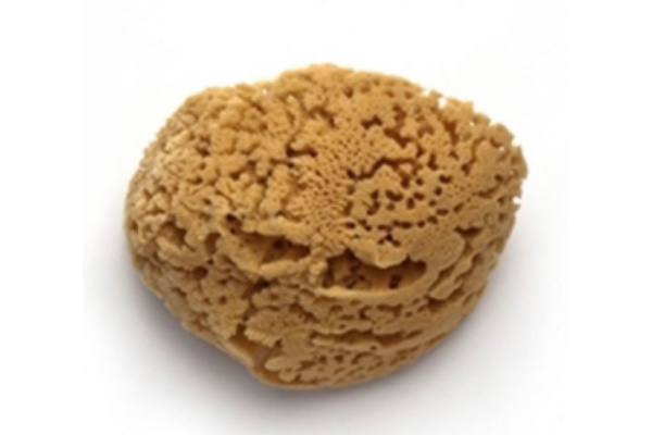 Губка PAVAN натуральная, морская 3120 S0112503