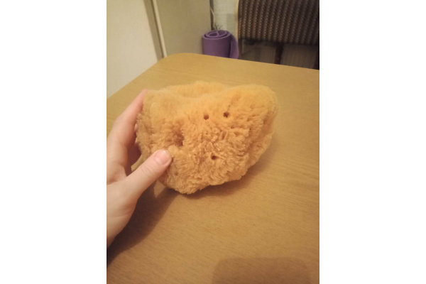 Губка PAVAN натуральная, морская 3120 S0112504