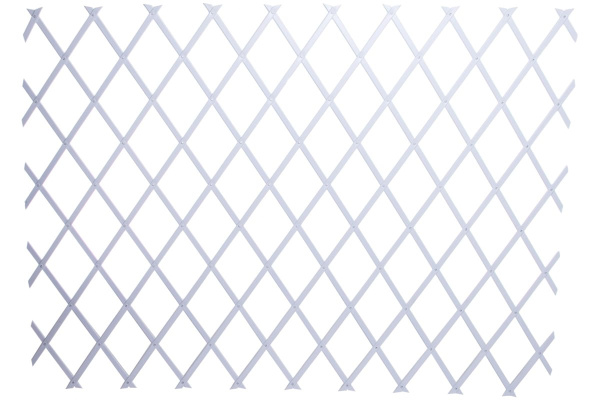 Сетка пластиковая белая (100 х 200 см) RACO 42359-54202W