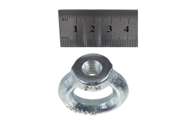 Рым-гайка ЗУБР DIN 582 М10 1 шт оцинкованная 304326-10 Рым-гайка ЗУБР DIN 582 М10 1 шт оцинкованная 304326-10