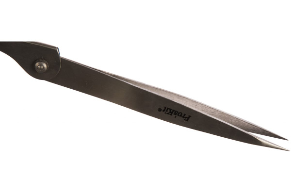 Пинцет с лупой ProsKit 1PK-TZ015 00173771