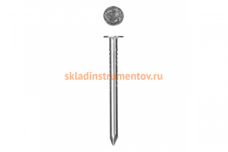 Гвозди толевые 850 шт. (2.5х32 мм) по дереву/листовому металлу Зубр 4-305211-25-032