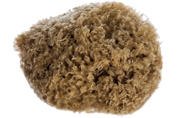 Натуральная губка для декоративных покрытий MATRIX 86817