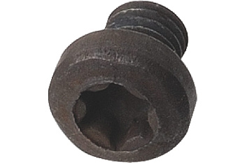 Винт TORX M3,5x5 CMT 990.073.00