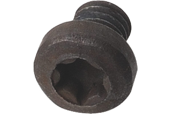 Винт TORX M3,5x5 CMT 990.073.00