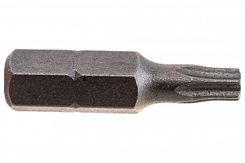 Бита Torx Tamper ТТ20, 25 мм, 2 шт. REDVERG 6623497