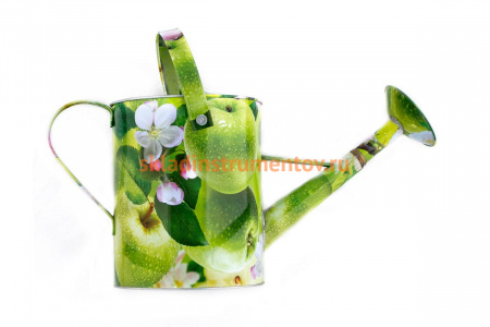 Лейка 10л Яблоки Центроинструмент 1037-10-6