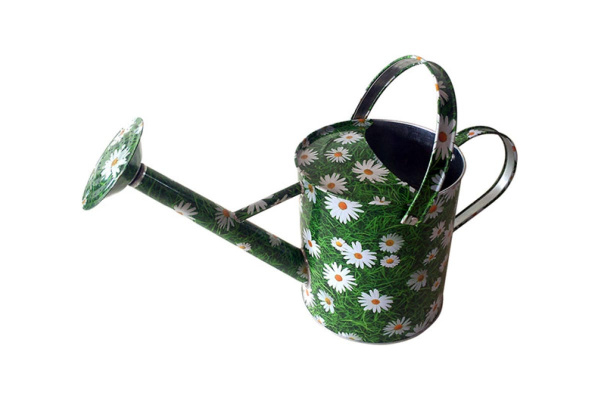 Садовая оцинкованная лейка СПЕЦ Garden & Flowers Ромашки 5 л GF-L501