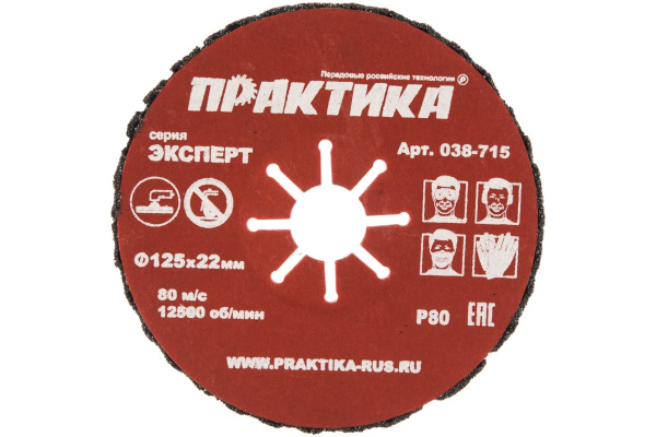 Круг абразивный торцевой (125 мм; Р80) ПРАКТИКА 038-715
