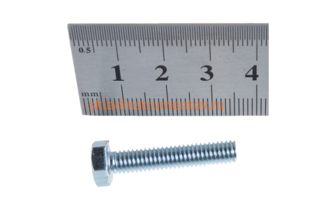 Болт ЗУБР ГОСТ 7798-70, M6 x 30 мм, 6 шт, кл. пр. 5.8, оцинкованный, 303086-06-030