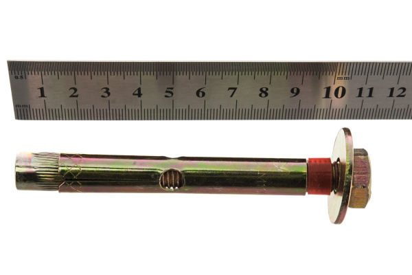 Болт анкерный с пластиковым кольцом 20 шт. (12х100 мм; М10) ЗУБР 4-302312-10-100