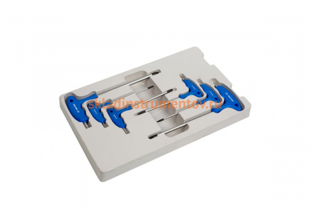 Ложемент для набора Г-образных TORX 22306PR, PVC KING TONY 842230660H