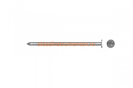 Гвозди с большой потайной головкой ЗУБР, оцинкованные, 25 х 3.0 мм, 5 кг, (примерно 2790 шт.) 305090-30-025