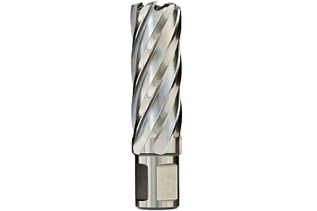 Сверло кольцевое (36х55 мм; HSS; Weldon 19) EUROBOOR HCL.360