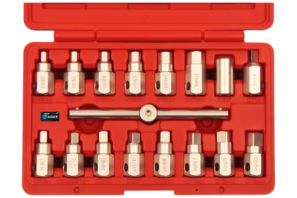 Набор квадратов (головок) для сливных (масляных) пробок AIST 17 предметов 67316520 00-00009615