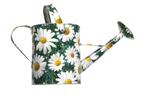 Лейка Центроинструмент Ромашки 1038-5-1