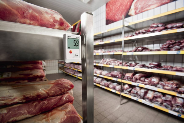 Логгер данных температуры Testo 174 T с USB-интерфейсом, комплект 0572 0561