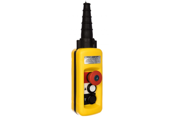 Пульт 2 кнопки, 2 ступенчатые кнопки + СТОП БУТОН + ключ EURO-LIFT 00012434