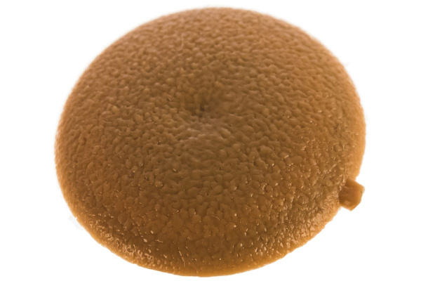 Декоративная заглушка под шуруп Зубр цвет бук, шлиц №2, ТФ6, 40шт 4-308156-2