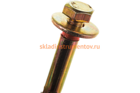 Болт анкерный с пластиковым кольцом 20 шт. (12х100 мм; М10) ЗУБР 4-302312-10-100