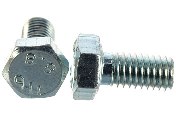 Болт ЗУБР ГОСТ 7798-70 M5 x 10 мм 5 кг кл. пр. 5.8 оцинк.  303080-05-010