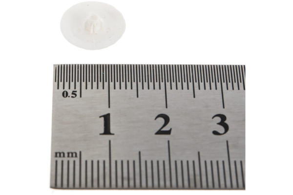 Декоративная заглушка под шуруп Зубр цвет белый, шлиц №2, ТФ6, 40шт 4-308156-3