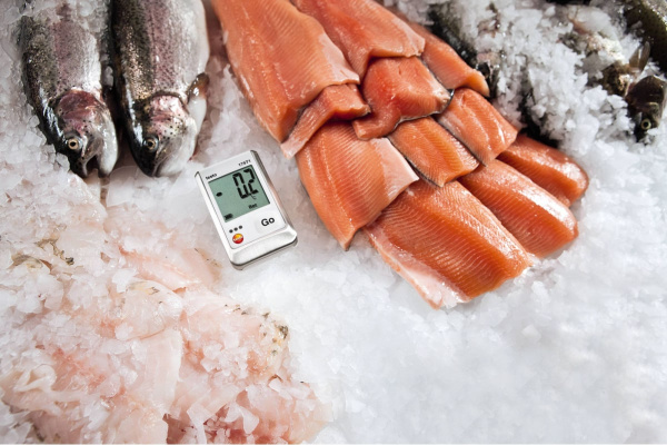 Мини-логгер данных температуры Testo 174 T с поверкой 0572 1560П