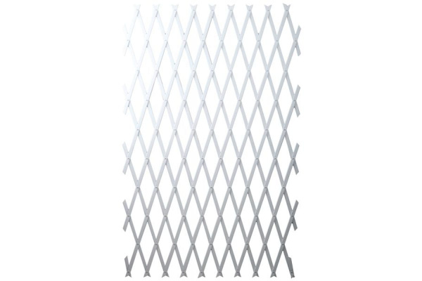 Сетка пластиковая белая (100 х 200 см) RACO 42359-54202W