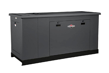 Газовый генератор Briggs&Stratton G290 076137