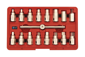 Набор квадратов (головок) для сливных (масляных) пробок AIST 17 предметов 67316520 00-00009615