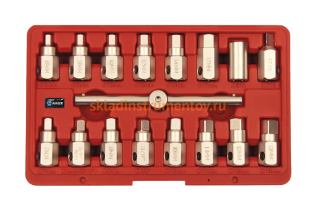Набор квадратов (головок) для сливных (масляных) пробок AIST 17 предметов 67316520 00-00009615