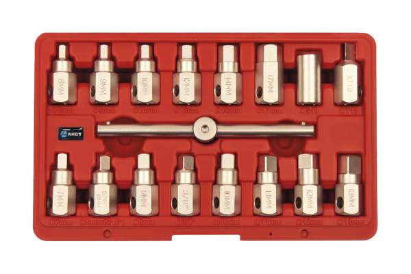 Набор квадратов (головок) для сливных (масляных) пробок AIST 17 предметов 67316520 00-00009615