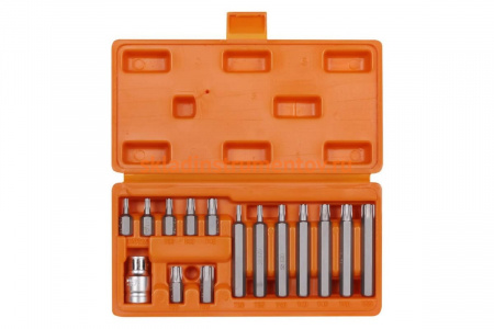 Набор бит вставок TORX (3/8", 30 мм и 75 мм, адаптер для бит 1/2" DR, 15 шт., в кейсе) Airline AT-B-21