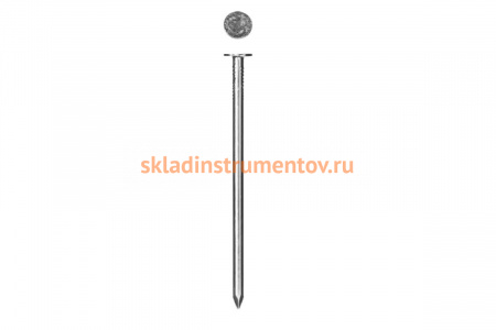 Гвозди с большой потайной головкой ЗУБР оцинкованные, 30 х 3.0 мм, 5 кг (примерно 2400 шт.) 305090-30-030