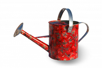 Лейка Центроинструмент Помидоры 10 литров 1037-10-2