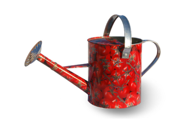 Лейка Центроинструмент Помидоры 10 литров 1037-10-2